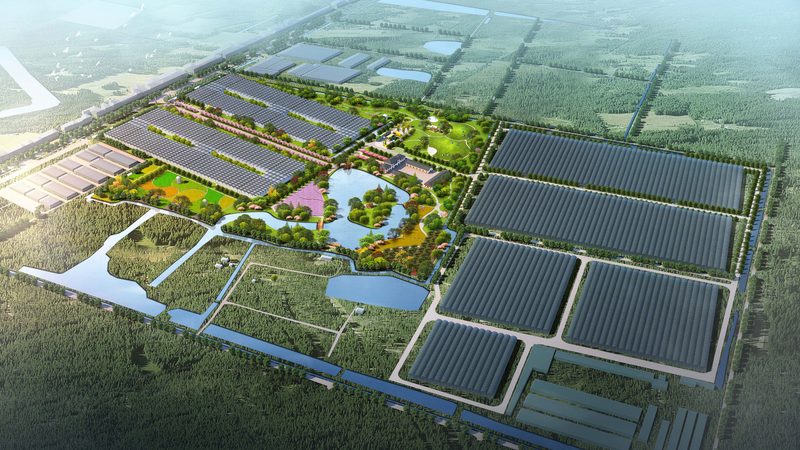山东农业种植技术公司代理：助力绿色农业发展新篇章