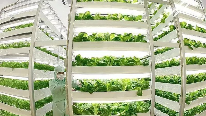 农业科技示范基地：揭秘十大品牌背后的秘密**