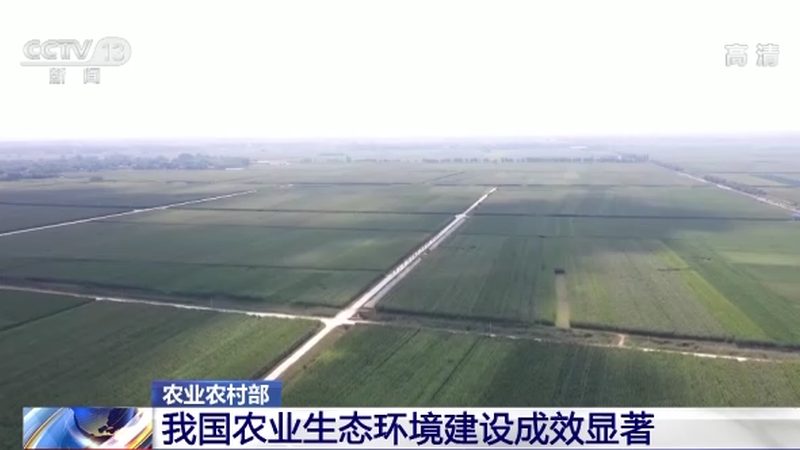绿色食品与普通食品：如何分辨两者的差异