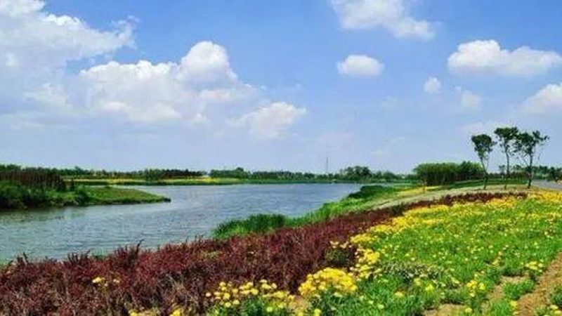 山地丘陵植保无人机：如何选择最适合的利器