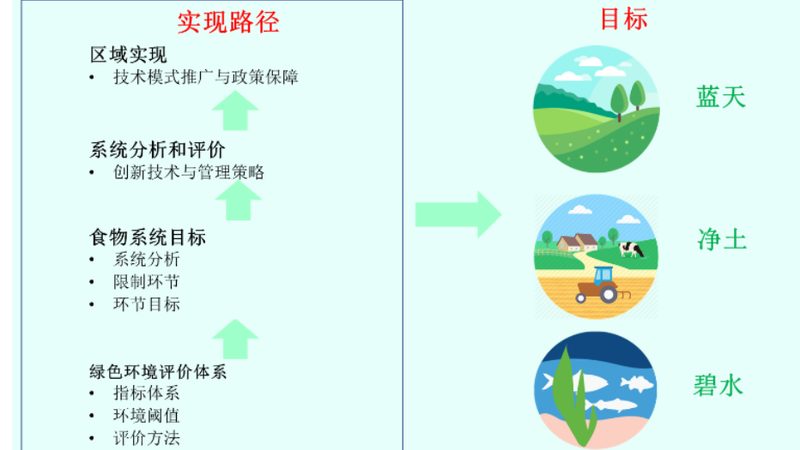 蔬菜配送报价清单：揭秘其包含的五大关键项目