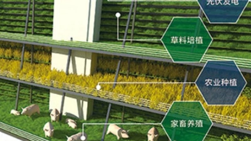 水溶肥真假辨别方法