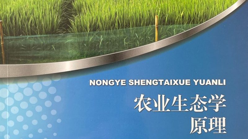 企业食堂生鲜代运营服务：提升食品安全与效率的关键