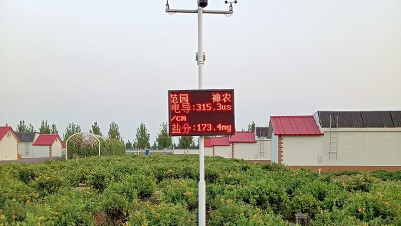 家庭农场种养比例：如何实现科学配置**