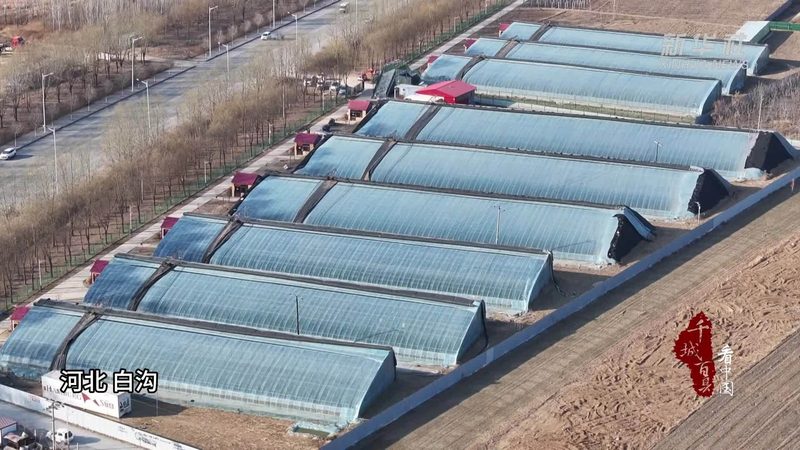 揭秘国内农业种植学习平台，助力农户增产增收