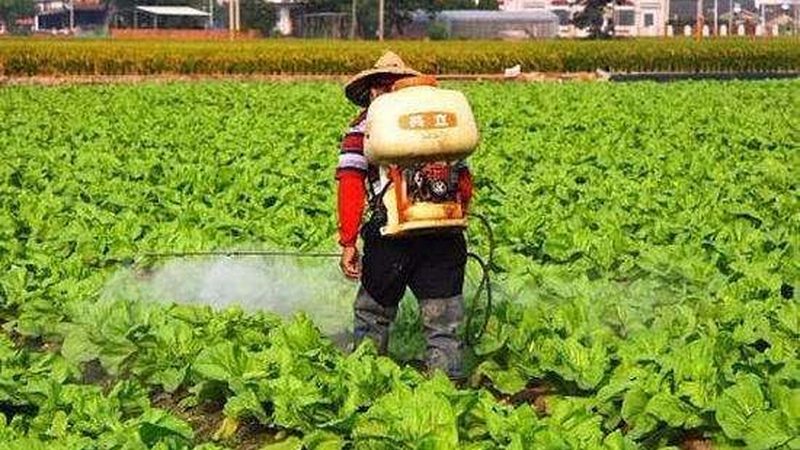 农资批发厂家直销代理加盟，你了解其中的门道吗？**