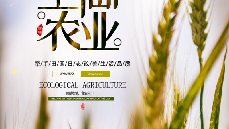 农资批发公司价格对比